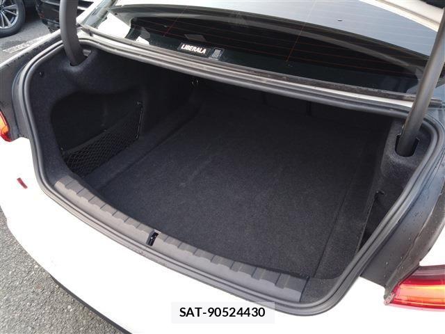 Bmw 3 SERIES 2019-06 6670486-13
