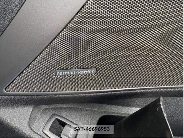Bmw 3 SERIES 2020-06 7249899-12