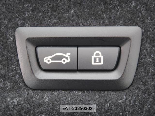 Bmw 3 SERIES 2019-10 8828012-10