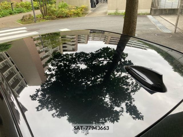 Bmw 3 SERIES 2019-03 8878838-13