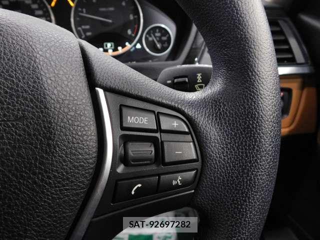 Bmw 3 SERIES 2015-07 4587677-18