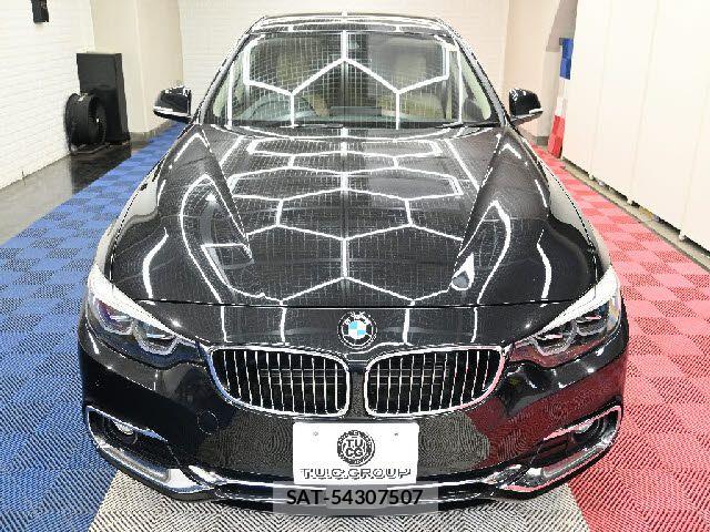 Bmw 4 SERIES 2018-12 6495383-4