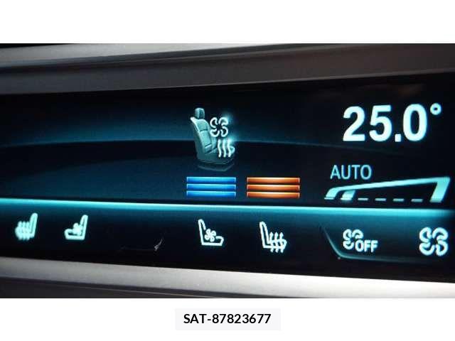 Bmw 7 SERIES 2021-03 1608398-3