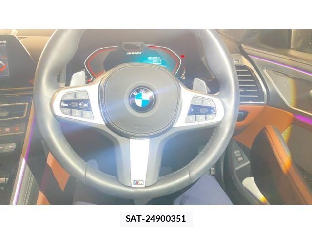 Bmw 8 SERIES 2019-08 3355824-18