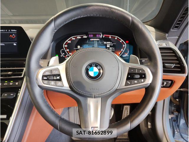 Bmw 8 SERIES 2019-08 7325946-14