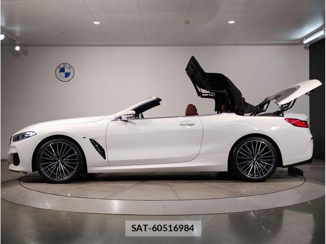 Bmw 8 SERIES 2020-11 1338287-1