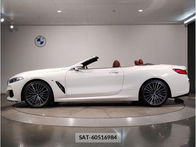Bmw 8 SERIES 2020-11 1338287-2