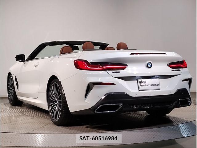 Bmw 8 SERIES 2020-11 1338287-3