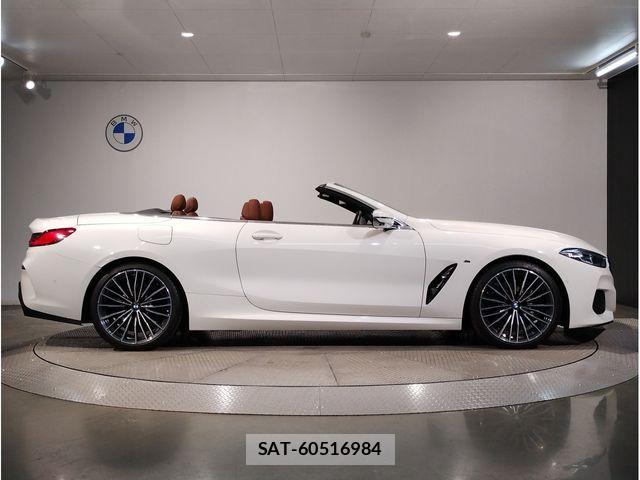 Bmw 8 SERIES 2020-11 1338287-6