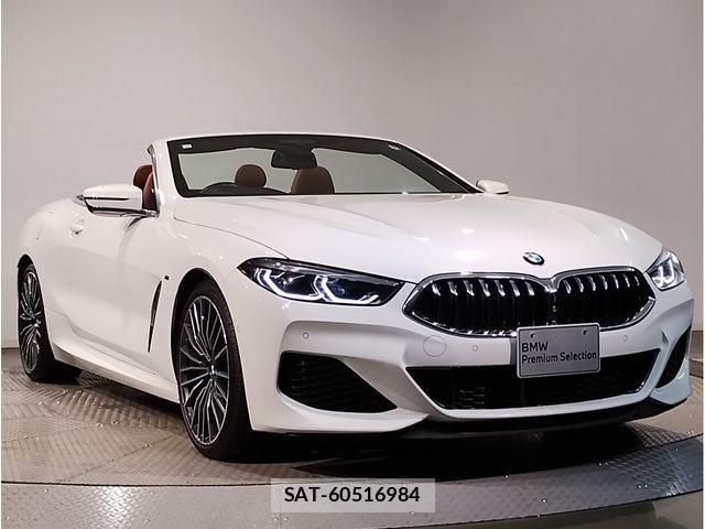 Bmw 8 SERIES 2020-11 1338287-7