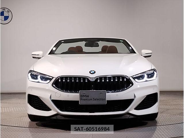 Bmw 8 SERIES 2020-11 1338287-8