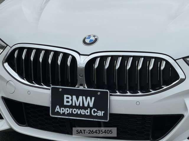 Bmw 8 SERIES 2019-09 7325949-12