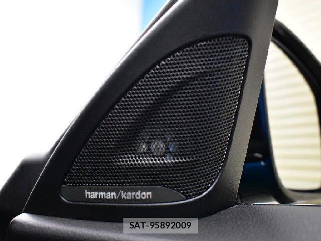 Bmw M2 2017-10 2485287-5