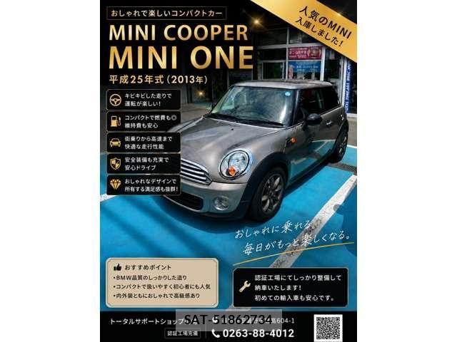 Bmw MINI 2013-06 8335109-14