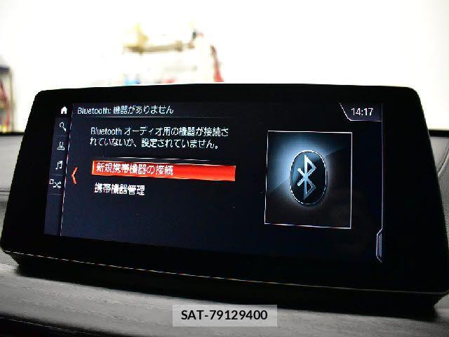 Bmw X1 2020-07 6902812-10