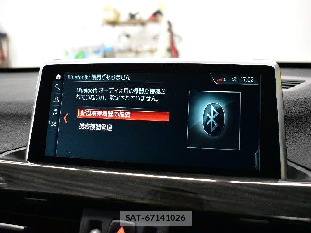 Bmw X1 2019-03 7215494-14