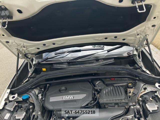 Bmw X1 2019-06 7326014-9