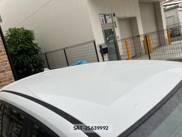 Bmw X1 2013-05 7453245-3