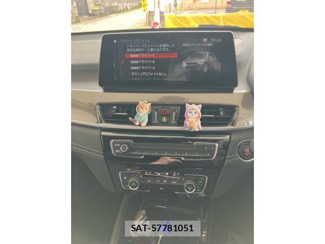 Bmw X1 2020-06 7902346-18