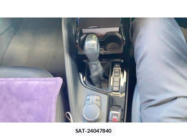 Bmw X1 2017-03 8364984-11