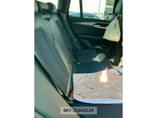 Bmw X3 2019-03 6902850-24