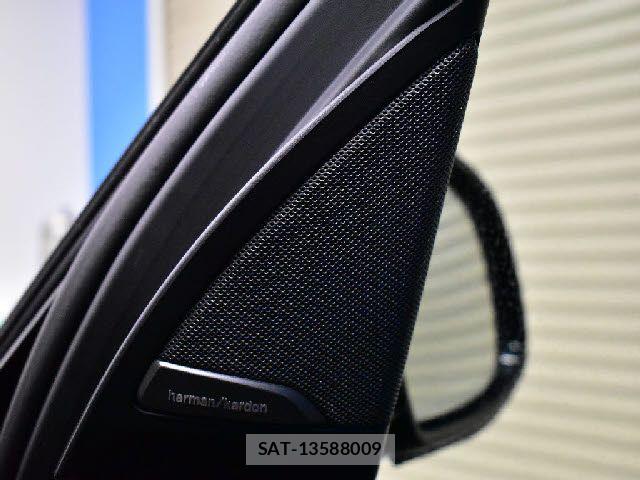 Bmw X3 2020-08 6991013-4