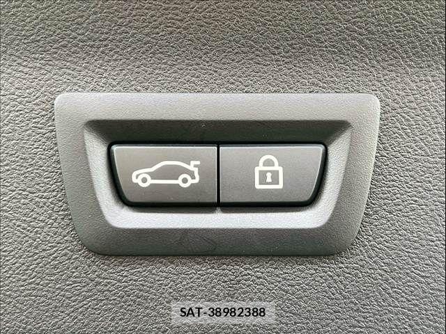 Bmw X4 2021-06 8145545-9
