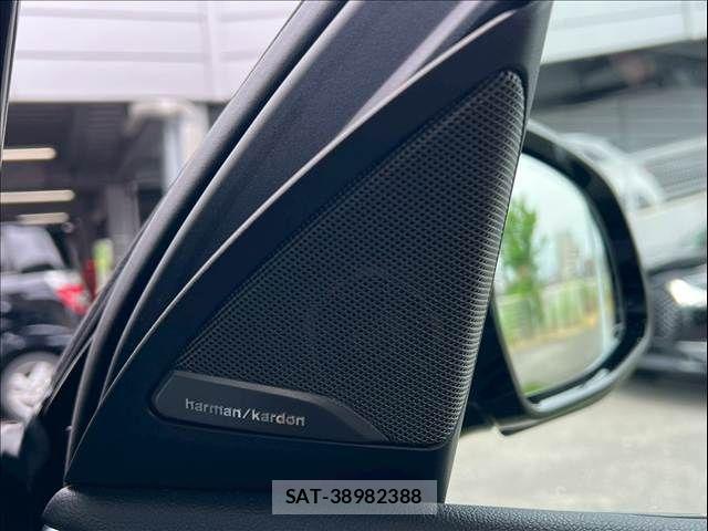 Bmw X4 2021-06 8145545-6