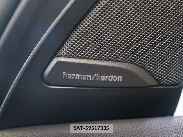 Bmw X4 2021-02 7215587-14