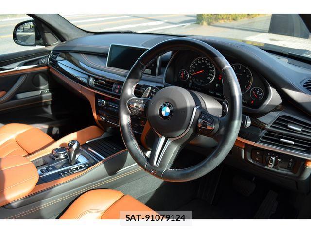 Bmw X5 2015-09 2317914-3