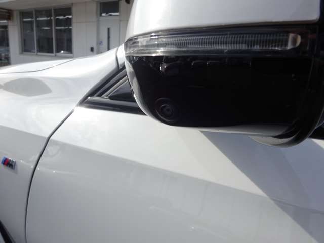 Bmw X6 2024-06 1543234-10