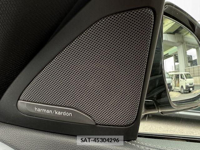 Bmw X6 2021-03 7326058-21