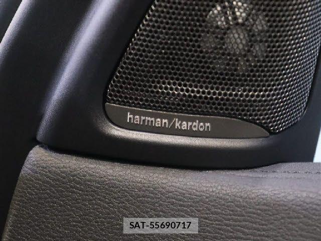 Bmw X6 2017-06 8098353-14