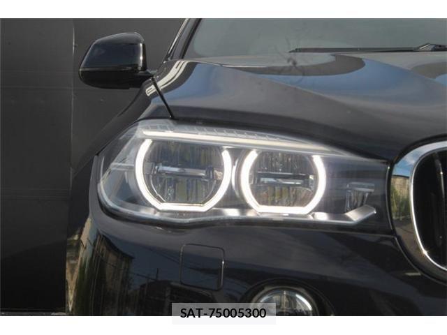Bmw X6 2016-03 8229096-10
