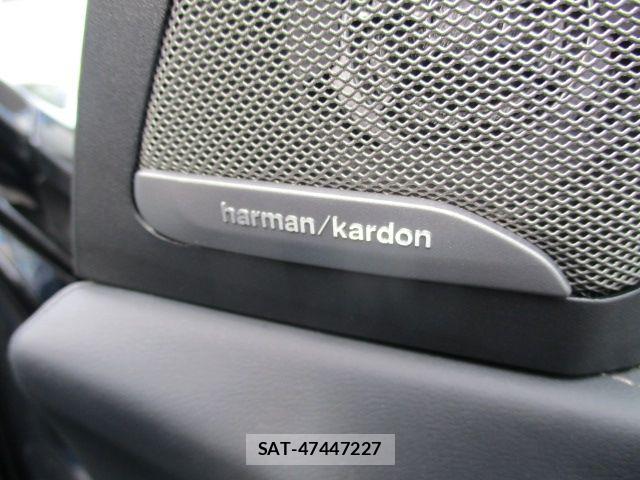 Bmw X7 2024-03 6675261-9