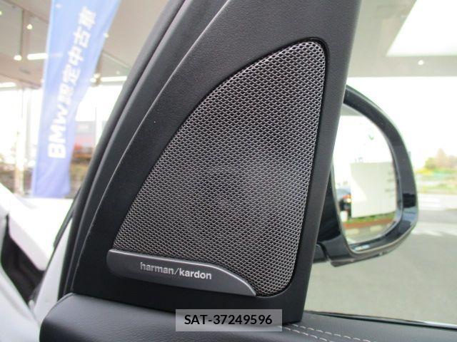 Bmw X7 2025-09 7215616-10