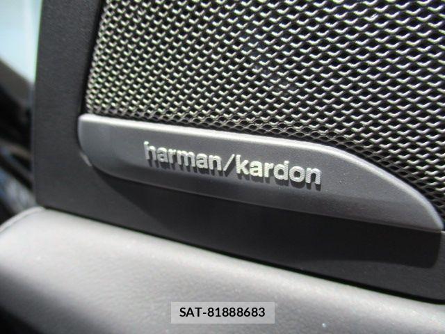 Bmw X7 2024-05 7453284-12