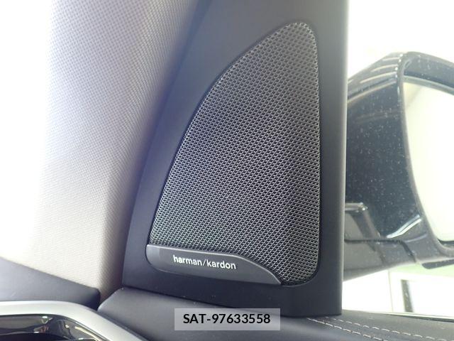 Bmw X7 2021-06 8073135-19