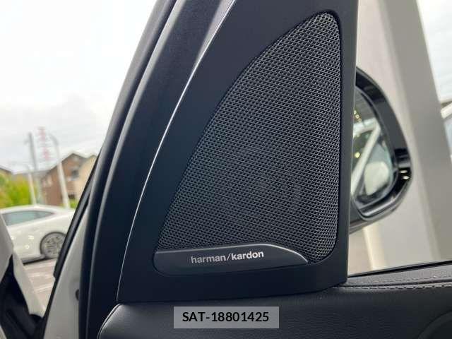 Bmw X7 2025-08 8098355-19