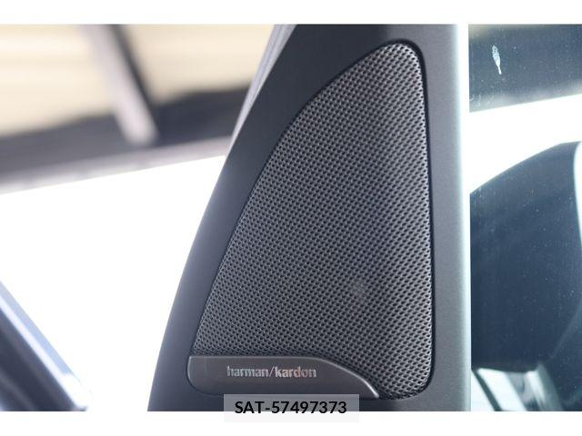 Bmw X7 2019-08 8313511-19