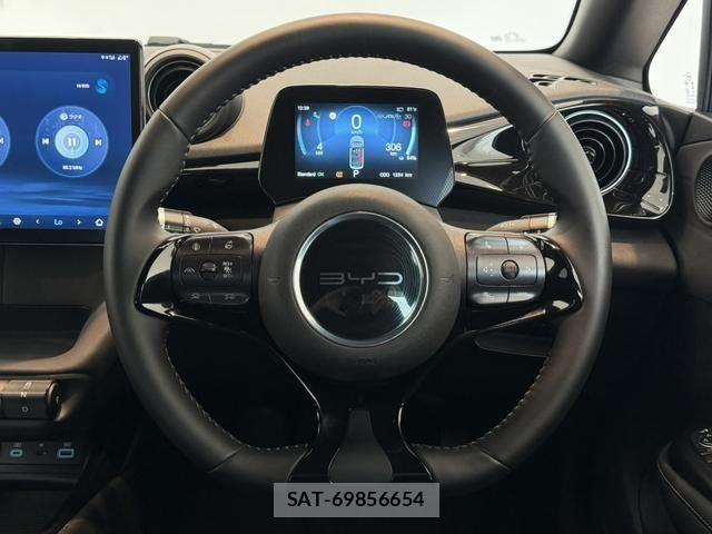 BYD Dolphin 2025-09 8523857-11