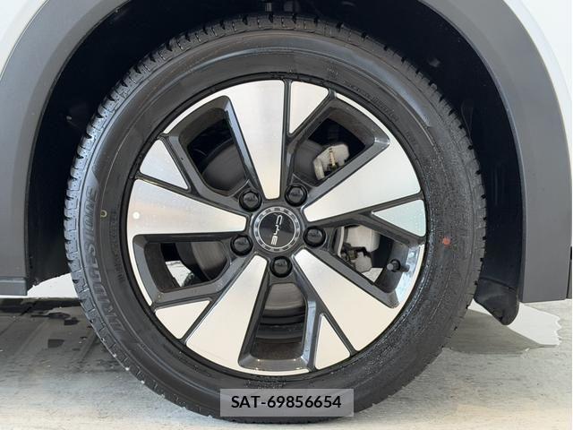 BYD Dolphin 2025-09 8523857-17