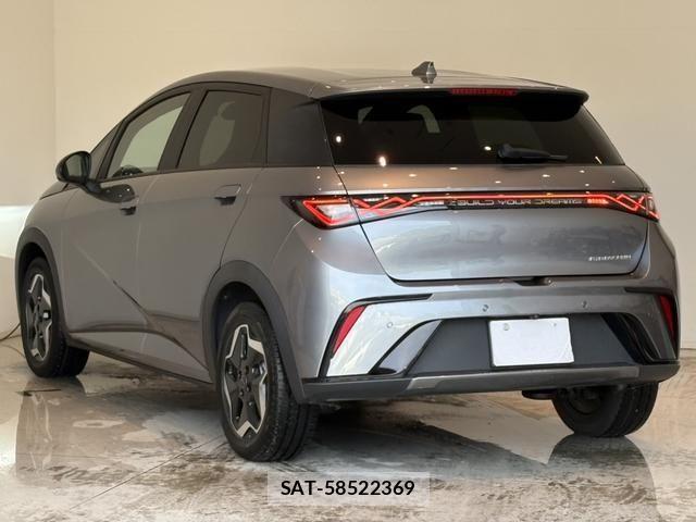 BYD Dolphin 2025-03 8665894-1