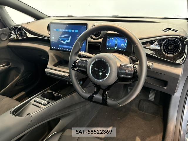 BYD Dolphin 2025-03 8665894-2