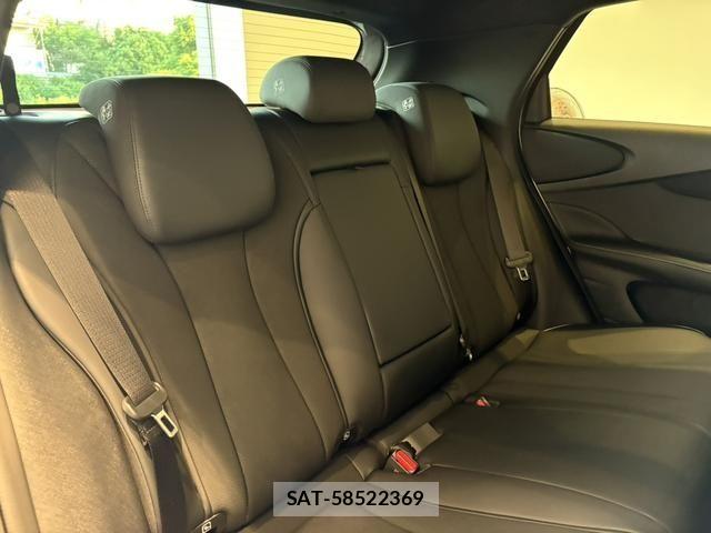 BYD Dolphin 2025-03 8665894-4