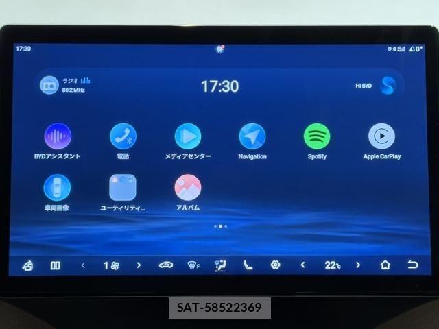 BYD Dolphin 2025-03 8665894-6