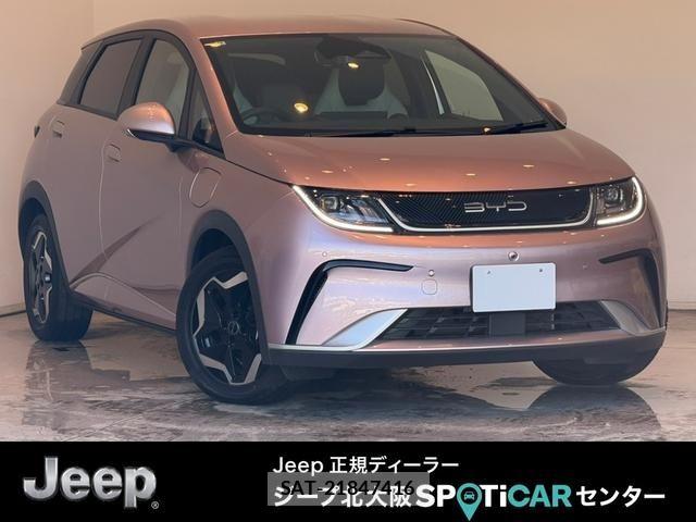 BYD Dolphin 2024-12 8665896-0