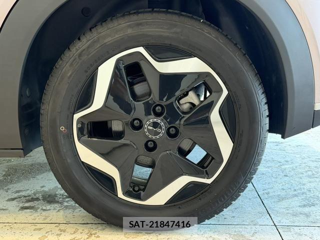 BYD Dolphin 2024-12 8665896-12