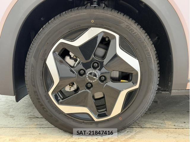 BYD Dolphin 2024-12 8665896-13