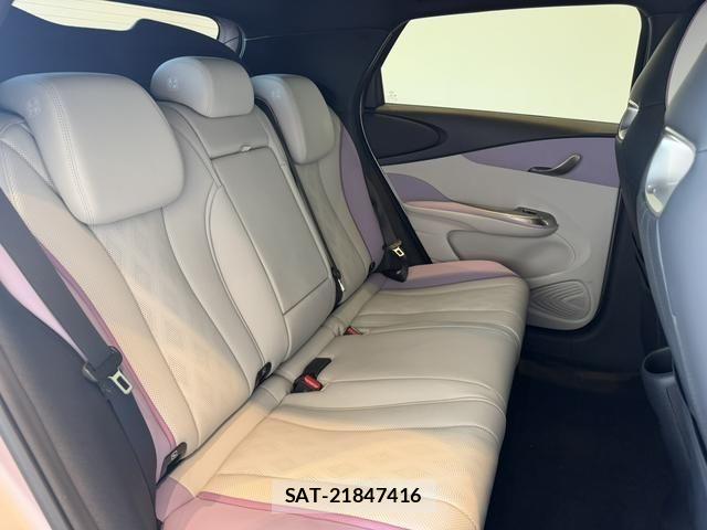 BYD Dolphin 2024-12 8665896-5